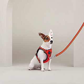 犬用ハーネス 《ジャンプ》 M＆L | Hermès - エルメス-公式サイト